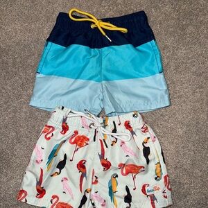 Kids Colorblock Blue Swim Trunks & Parrot Print Swim Shorts Set